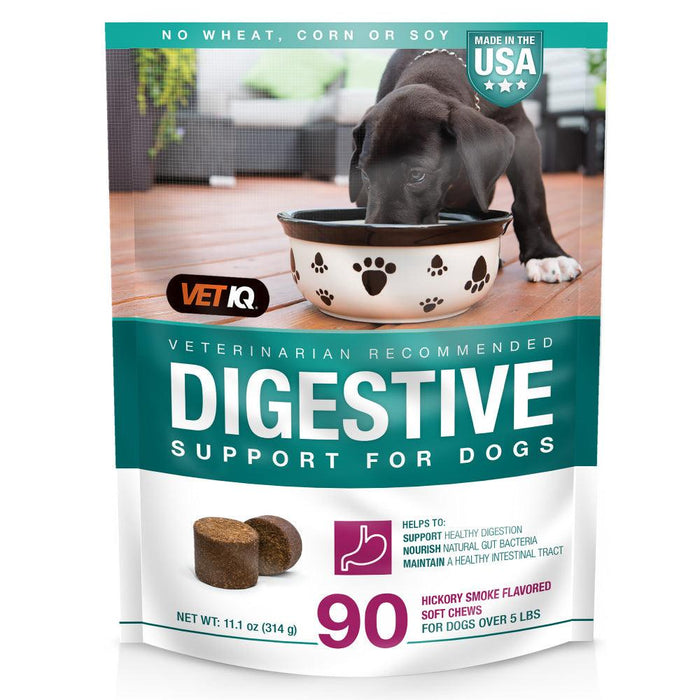 VetIQ Digestive Support Soft Chews - 818145019852