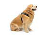 WeatherTech Pet Safety Harness - Black - 787765853651