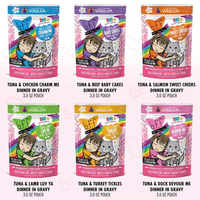 Weruva Grain Free BFF OMG Rainbow A Go Go Cat Variety Pouches Pack - 878408003561