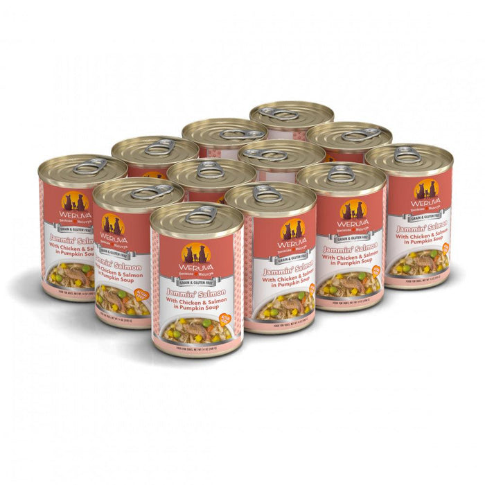 Weruva Jammin Salmon with Chicken & Salmon in Pumpkin Soup Canned Dog Food - 878408006197