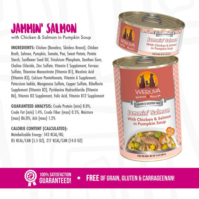 Weruva Jammin Salmon with Chicken & Salmon in Pumpkin Soup Canned Dog Food - 878408006197