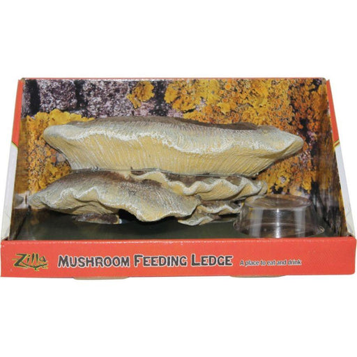 Zilla Mushroom Feeding Ledge Reptile Decor - 096316000629
