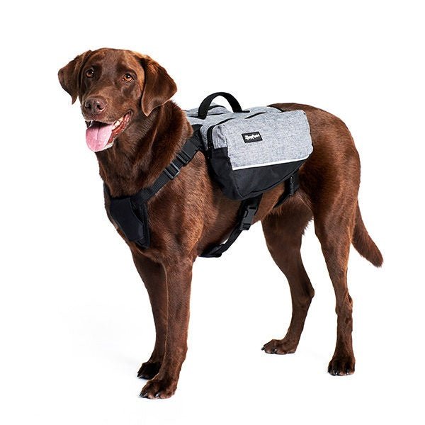 ZippyPaws Adventure Gear Graphite Backpack For Dogs - 818786015206