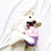 ZippyPaws Pink Cupcake Plush Dog Toy - 818786019129