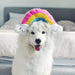 ZippyPaws Squeakie Pattiez Rainbow Plush Dog Toy - 818786019099