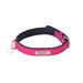 ZippyPaws Vivid Collection Magenta Dog Collar - 818786013554
