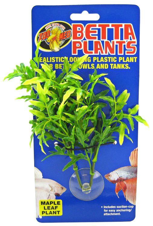 Zoo Med Aquatic Betta Plants - Maple Leaf Plant - 097612241242