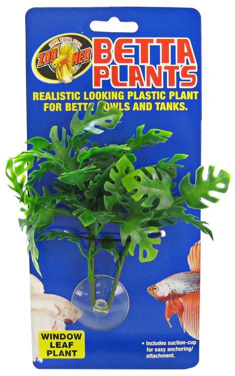 Zoo Med Aquatic Betta Plants - Window Leaf Plant - 097612241259